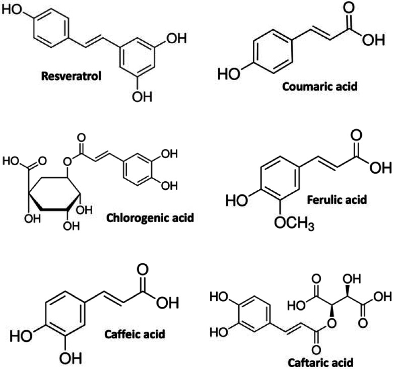 Fig. (1)