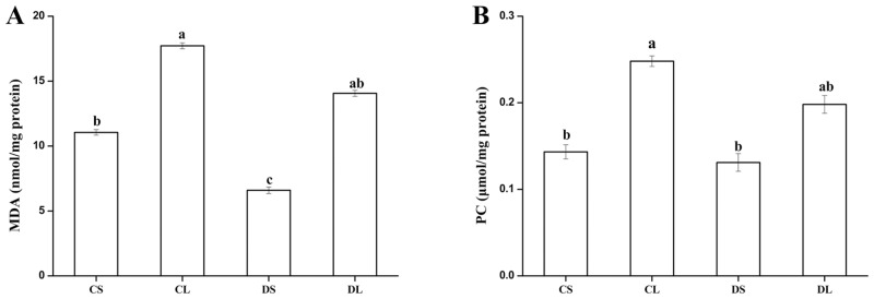 Fig 5