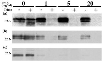 FIG. 9.