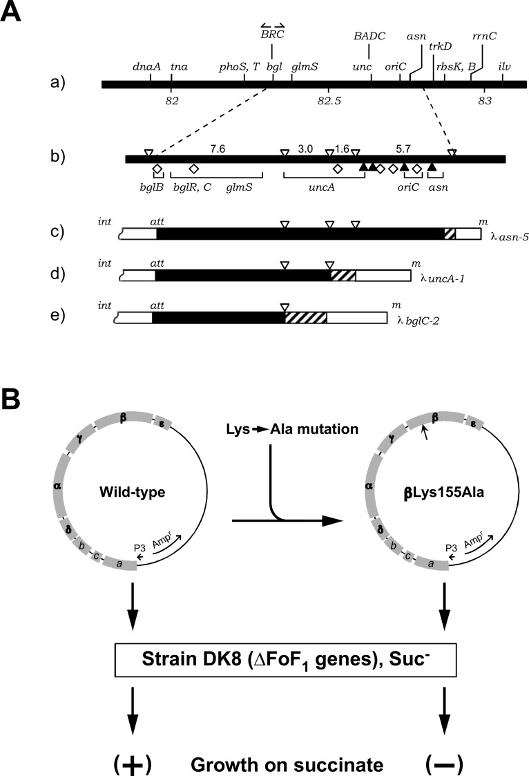 Fig. 3.