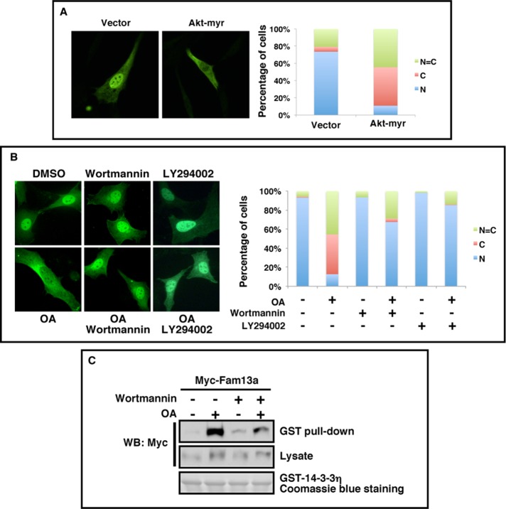 FIGURE 5: