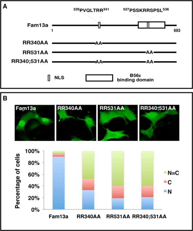 FIGURE 2: