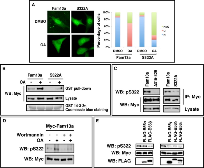 FIGURE 6: