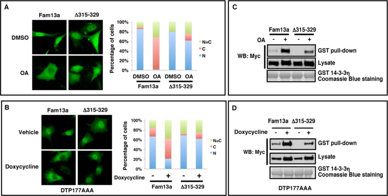 FIGURE 4: