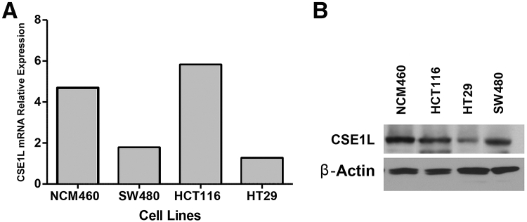 Figure 3