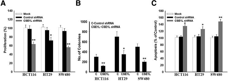 Figure 5