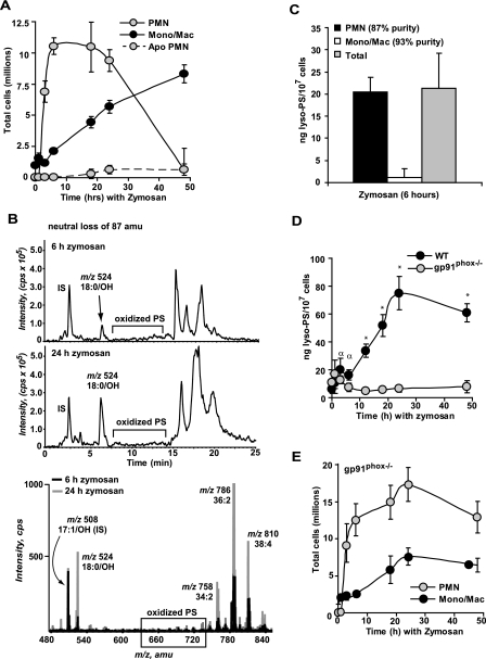 FIGURE 4.