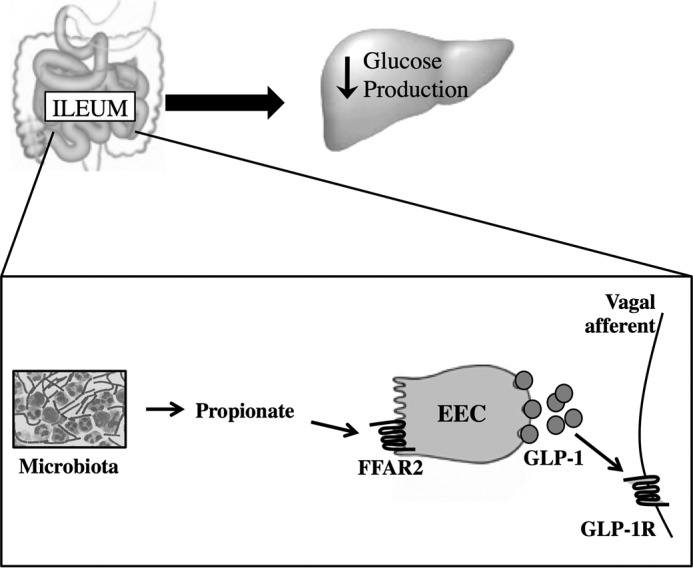 FIGURE 7.