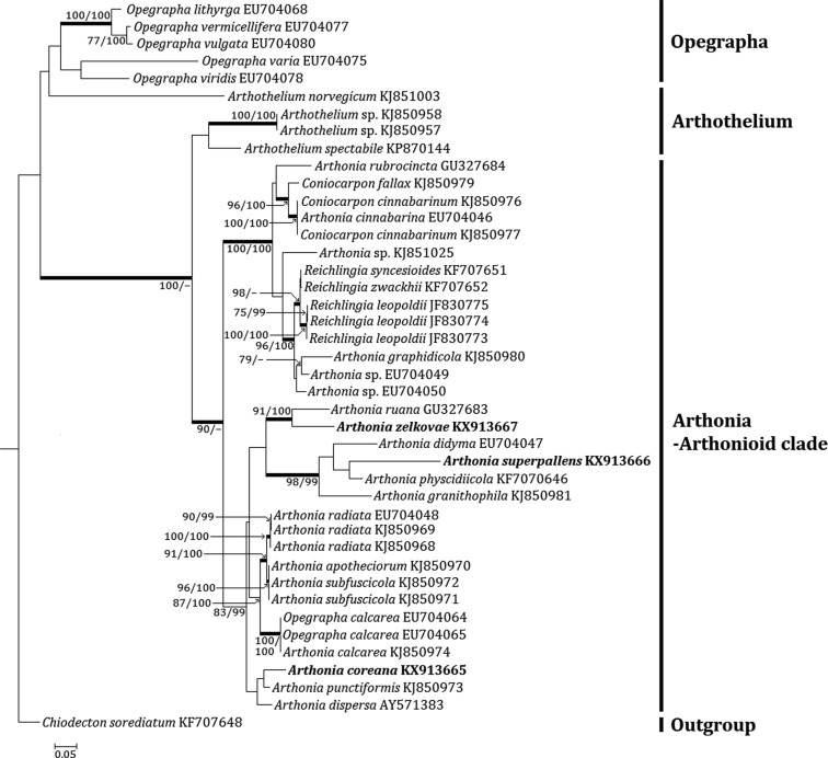 Fig. 2