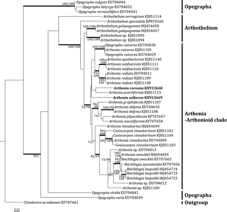 Fig. 4