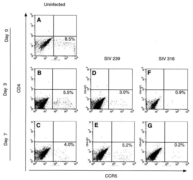 FIG. 6