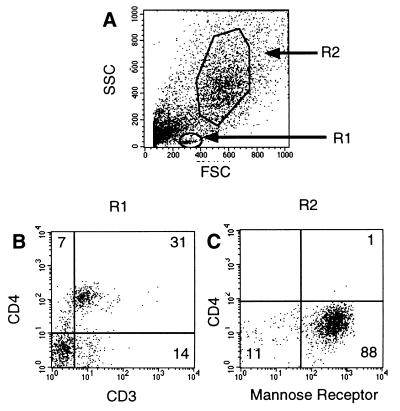 FIG. 5