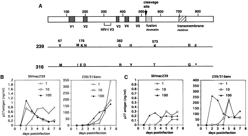 FIG. 1