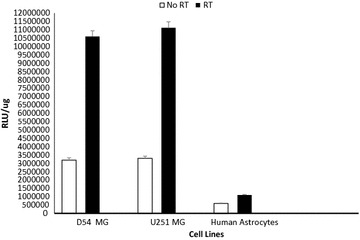 Fig. 4