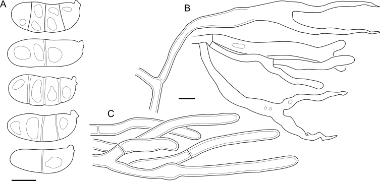 Fig. 59