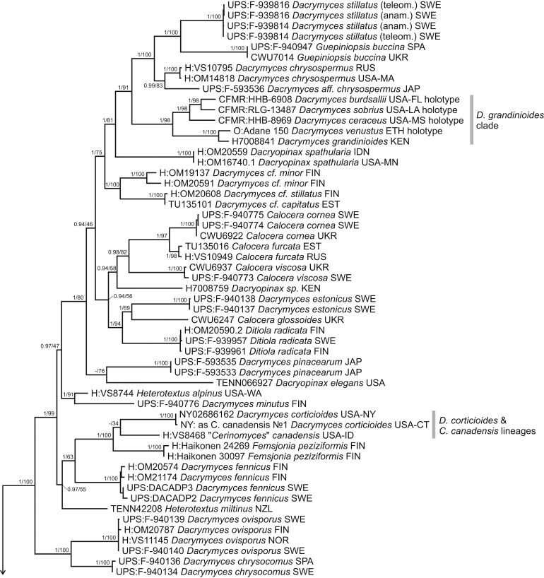 Fig. 4