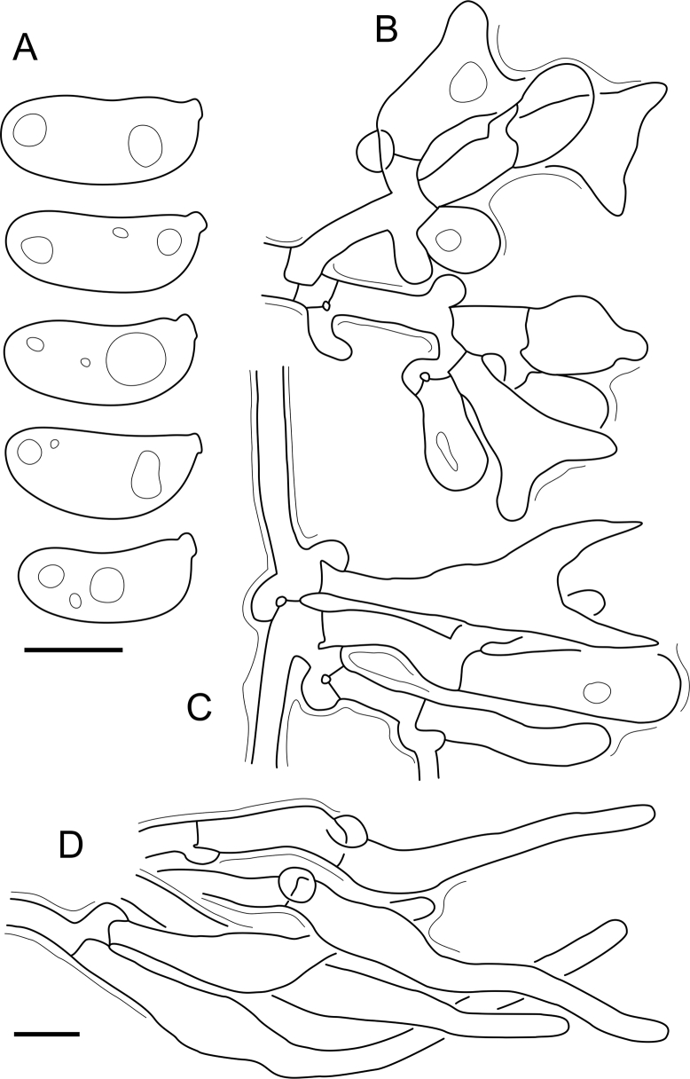 Fig. 41