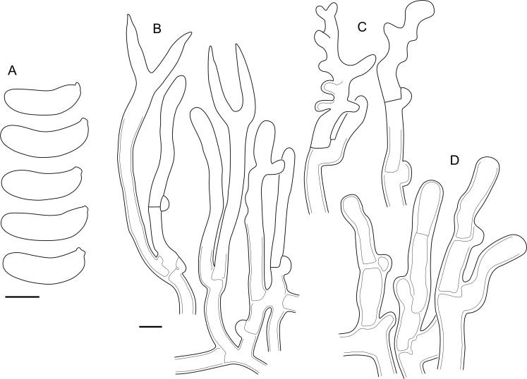 Fig. 43