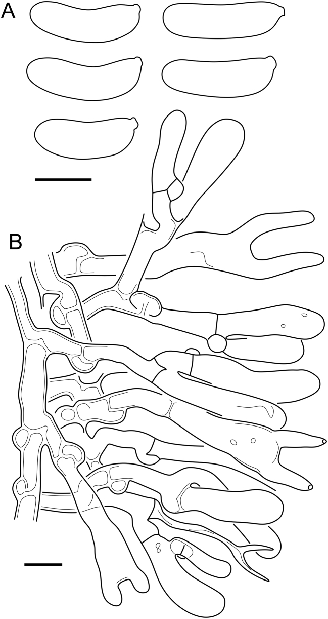 Fig. 21