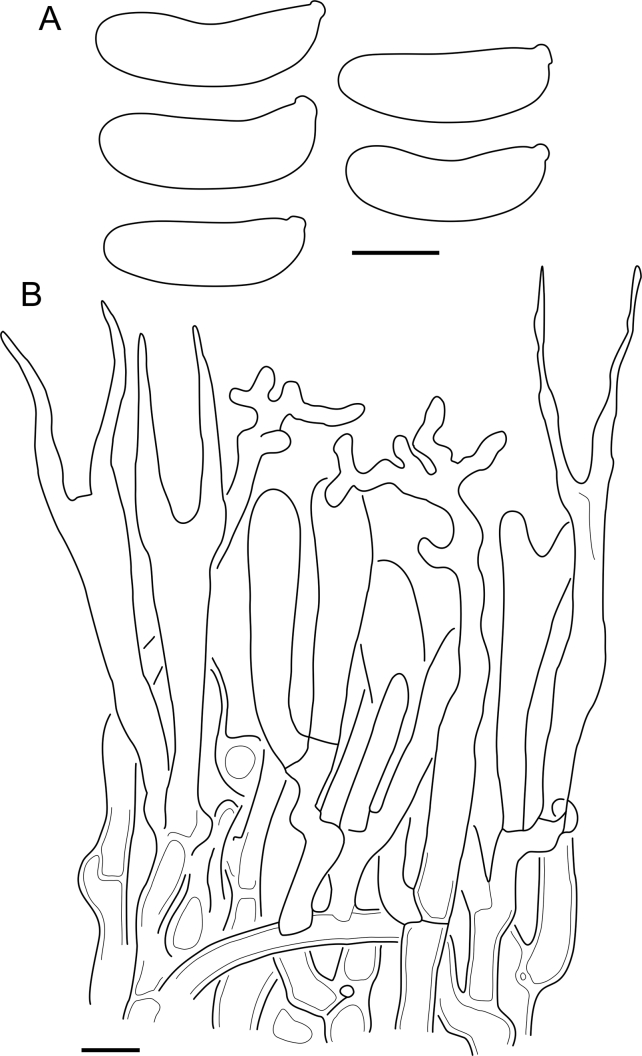 Fig. 38