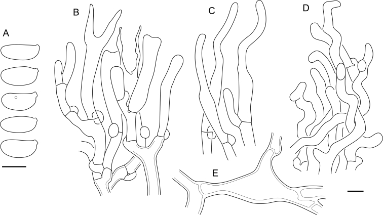 Fig. 40