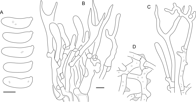 Fig. 44