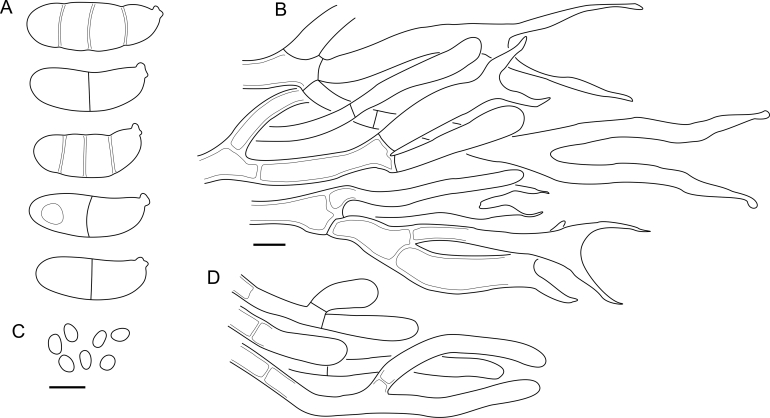 Fig. 60