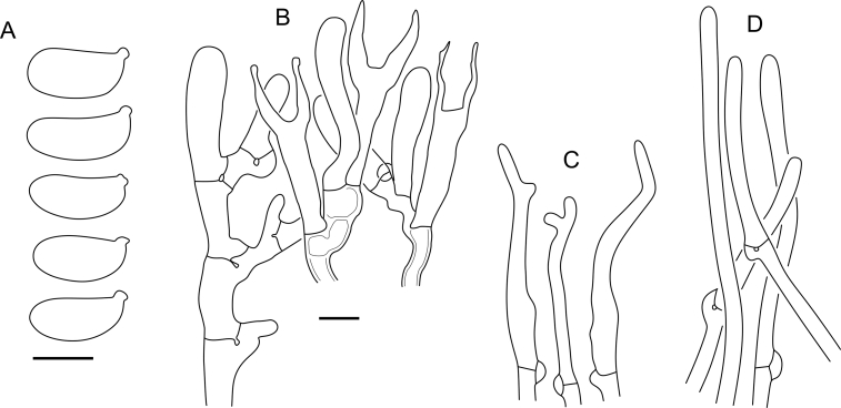 Fig. 46