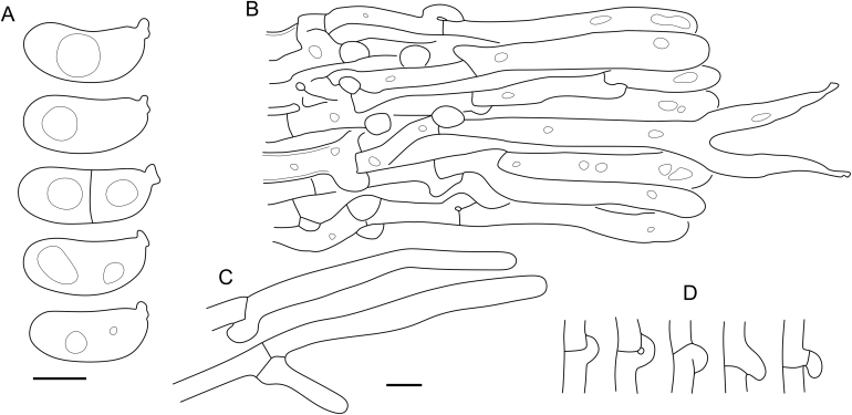 Fig. 23