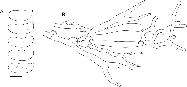 Fig. 45