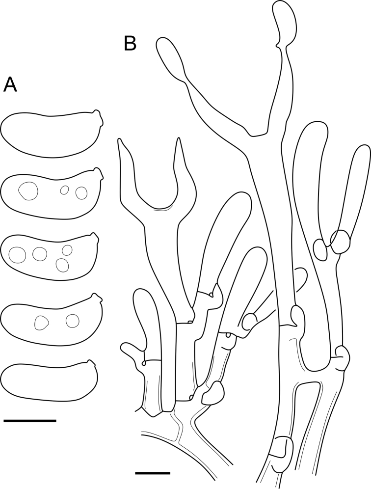 Fig. 35