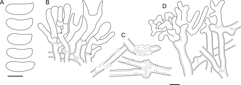 Fig. 42