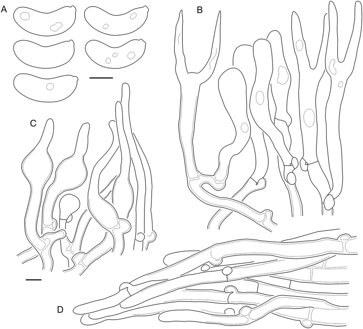 Fig. 16