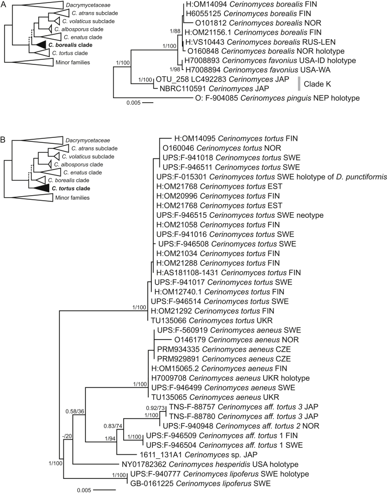 Fig. 7