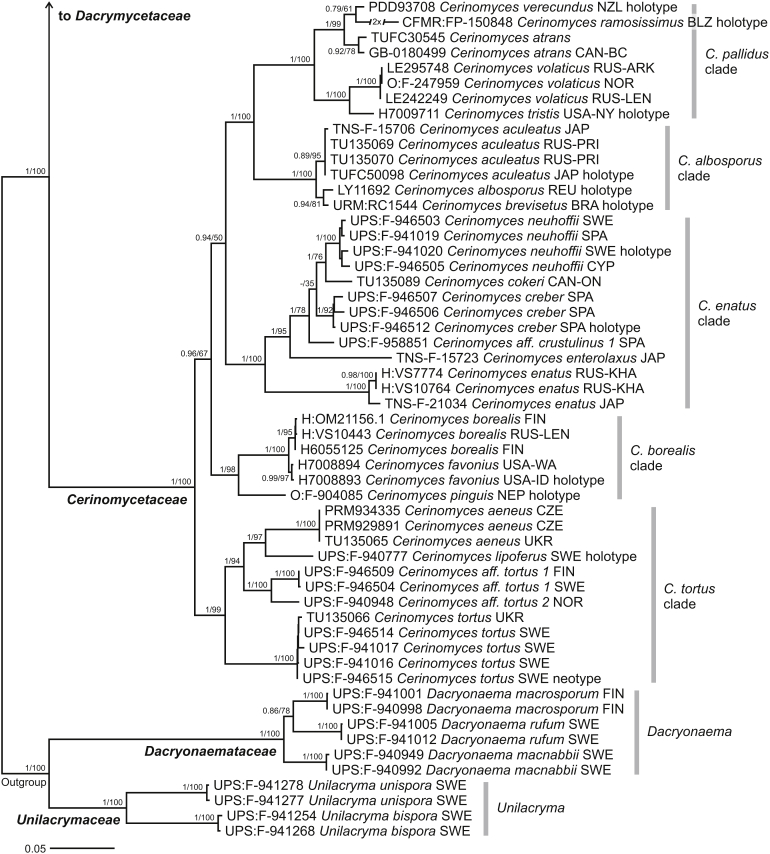 Fig. 4