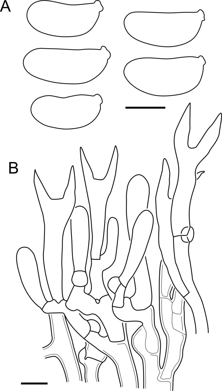 Fig. 47