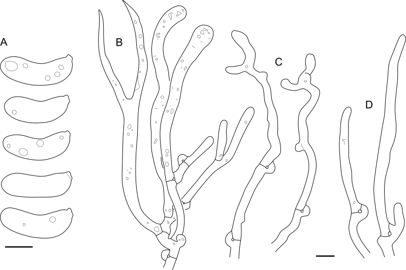 Fig. 36