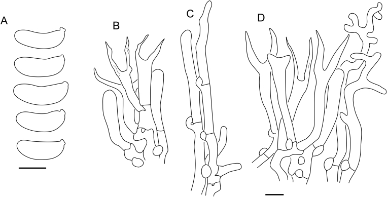 Fig. 26