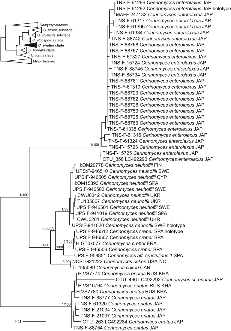 Fig. 6