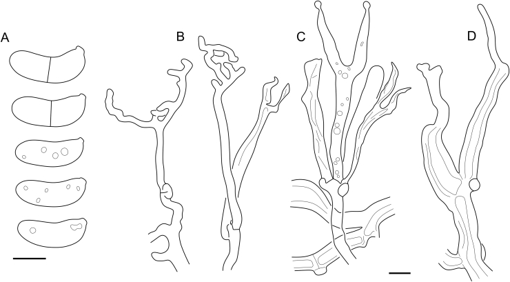 Fig. 28