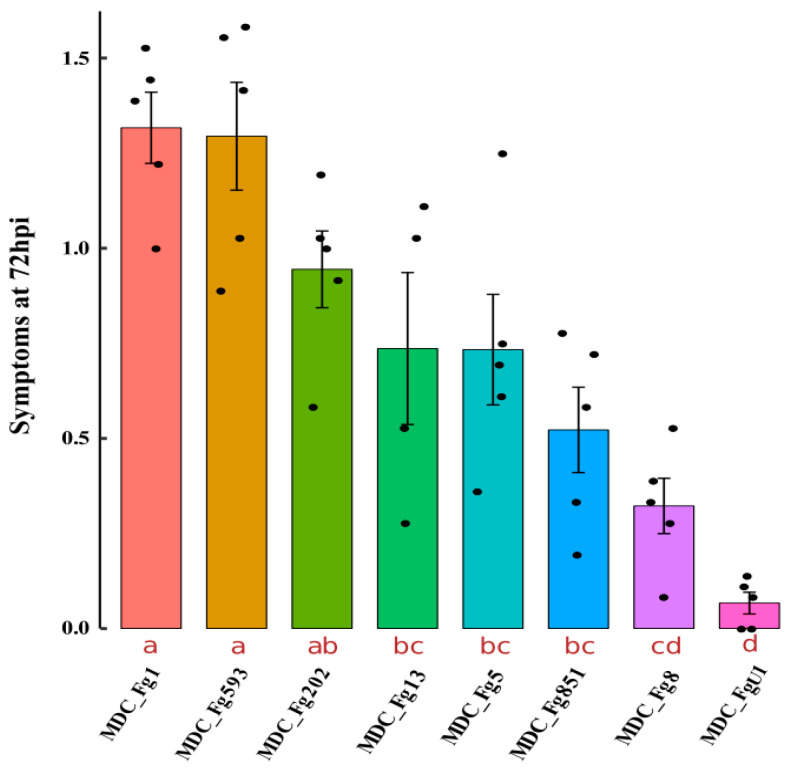 Figure 5