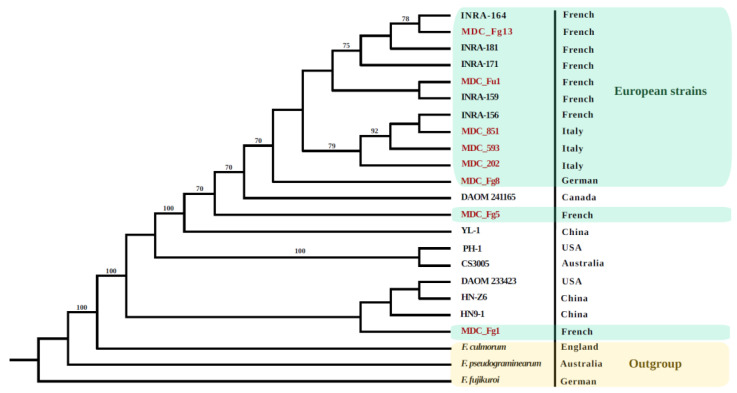 Figure 2