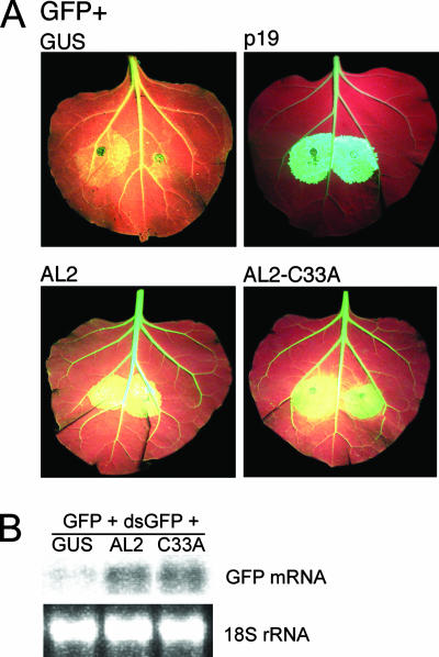 FIG. 7.