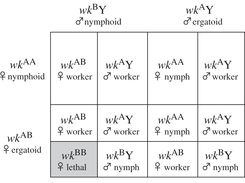 Figure 1.