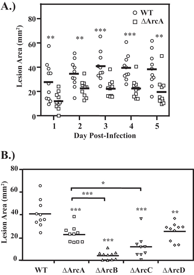 FIG 4