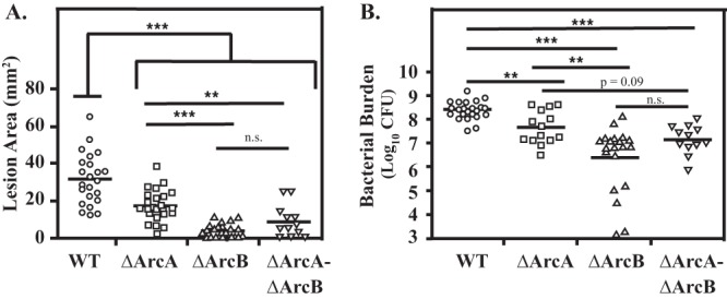 FIG 5