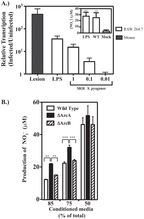 FIG 6