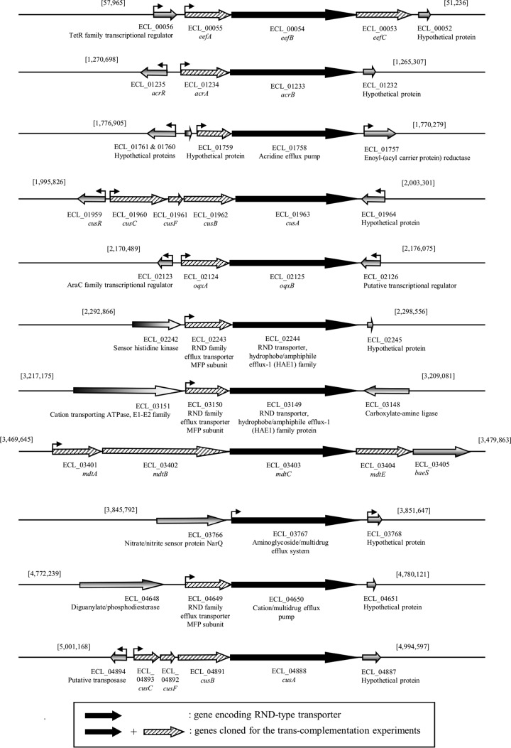 FIG 1