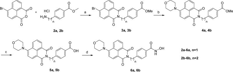 Scheme 1