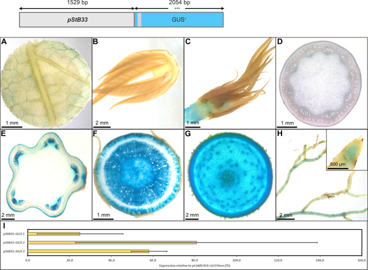 Figure 10